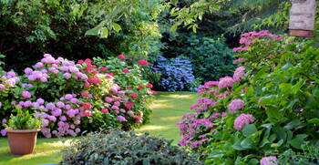 Garden Design in Auburn, Massachusetts by Shepherd Lawn Maintenance LLC