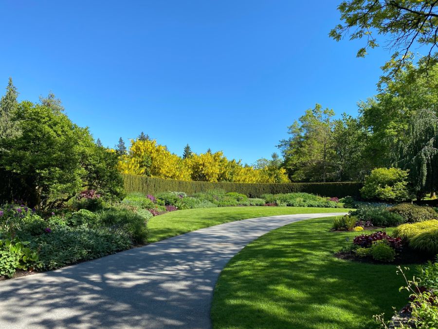 Landscaping