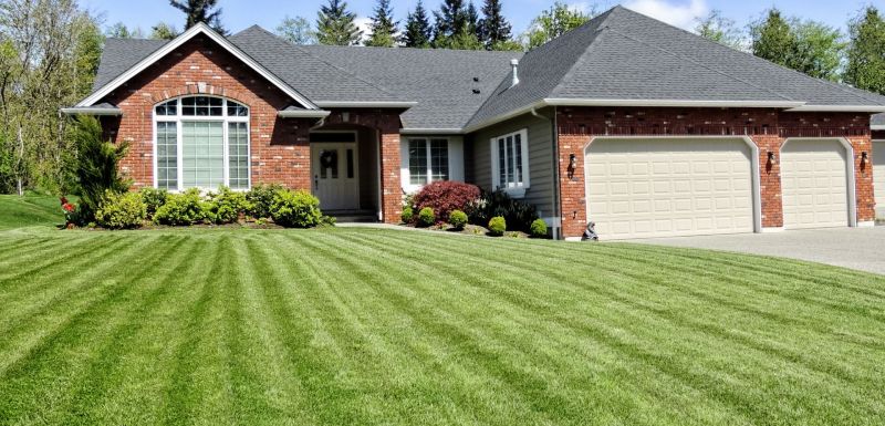 Professional lawn aeration by Shepherd Lawn Maintenance LLC