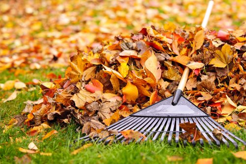 Fall Clean Up Services by Shepherd Lawn Maintenance LLC
