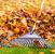 Sterling Fall Clean Up by Shepherd Lawn Maintenance LLC