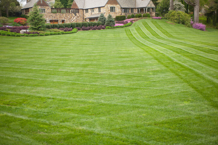 Lawn care by Shepherd Lawn Maintenance LLC.