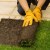 Sterling Lawn Installation by Shepherd Lawn Maintenance LLC