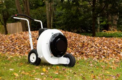 Leaf removal in East Brookfield, MA by Shepherd Lawn Maintenance LLC.