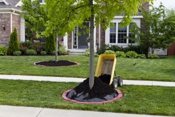 Mulching in Spencer Services