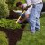 Sterling Spring Clean Up by Shepherd Lawn Maintenance LLC