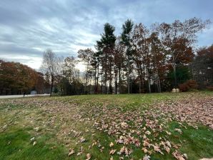 Leaf Removal in West Boylston, MA (1)