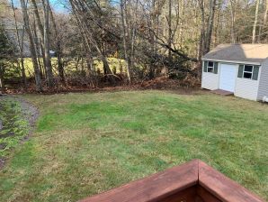 Fall Cleanup in Spencer, MA (2)
