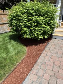 Mulching Service in Auburn, MA (4)