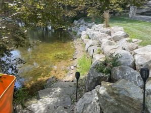 Before & After Landscaping/Weeding in Charlton, MA (1)
